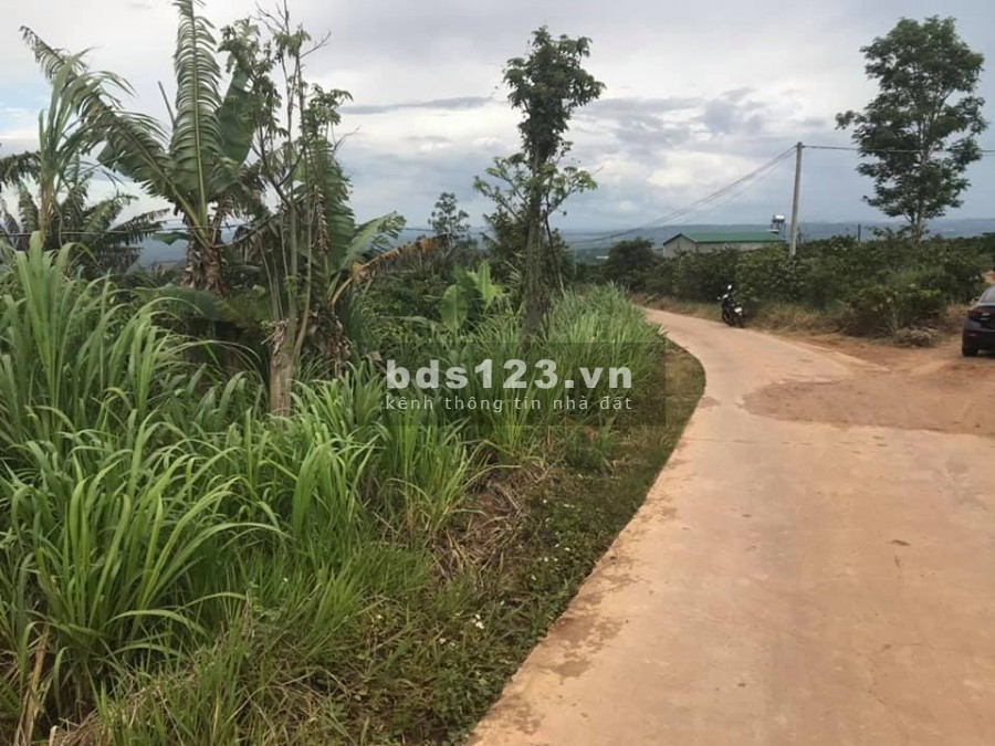 Lô Đất 520 m2, Giá 640 Triệu Gần Trung Tâm Xã Tân Hà, Lâm Hà