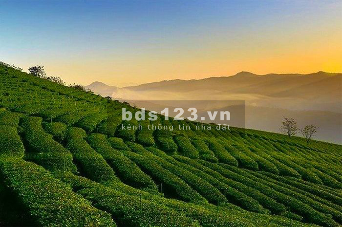 Bán đất nền nghĩ dưỡng đầy đủ những tiện ích xung quanh, giá 850 triệu/tháng