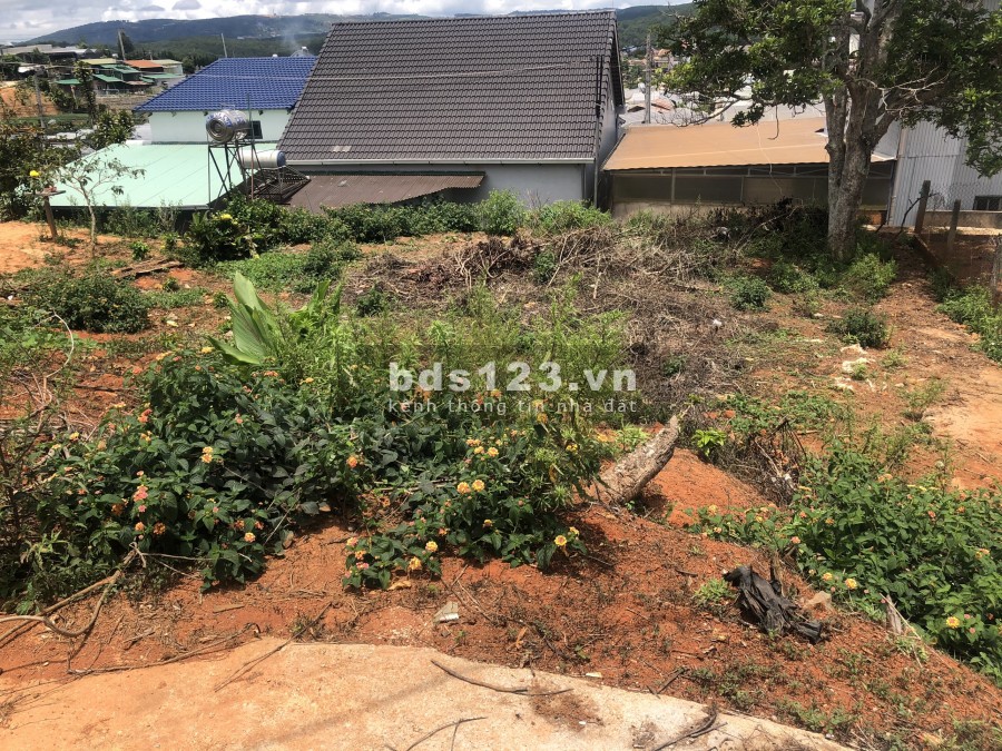 Cần bán đất diện tích 668m2 thổ cư đất Xuân Thọ Đà Lạt, sổ riêng xây dựng, chính chủ