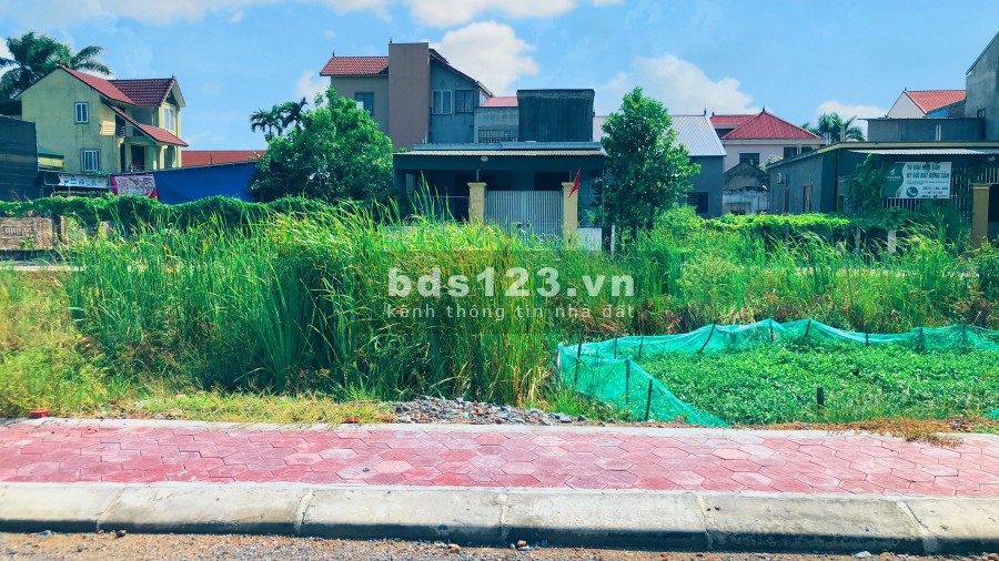 Ra hàng lô đất đẹp khu đấu giá khối Trung Nghĩa, phường Đông Vĩnh thành phố Vinh