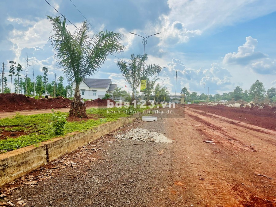 Nơi an cư lí tưởng - xu hướng "sống xanh" hậu covid - 4tr/m2, tiện ích hiện đại, đa dạng