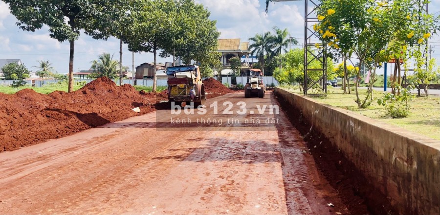 Nơi an cư lí tưởng - xu hướng "sống xanh" hậu covid - 4tr/m2, tiện ích hiện đại, đa dạng