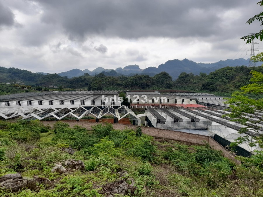 Đón đầu cao tốc Hòa Bình-Sơn La bán đất đẹp Mộc Châu view nhìn toàn cảnh thị trấn Mộc Châu
