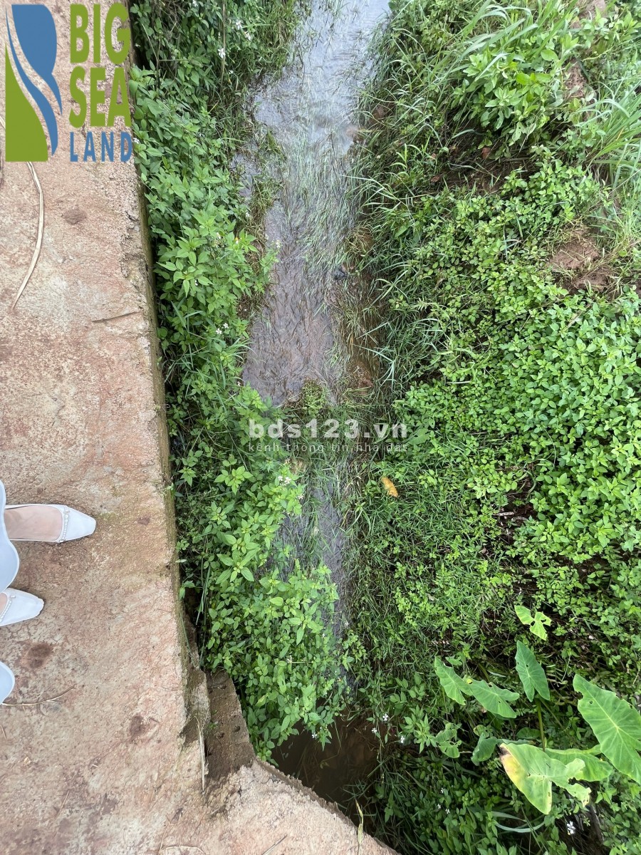 Đất nền Mộc Châu đón đầu quy hoạch,đường quy hoạch Hòa Bình-Sơn La giá chỉ từ 1tr/m