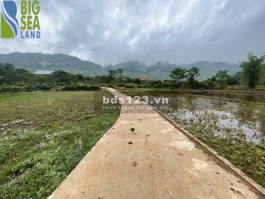 Đất nền Mộc Châu đón đầu quy hoạch,đường quy hoạch Hòa Bình-Sơn La giá chỉ từ 1tr/m