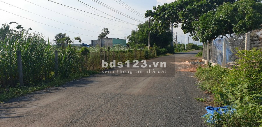 Đất xây nhà giá rẻ tại Xuyên Mộc , chỉ 98tr/m ngang giáp tỉnh lộ 329 Xuyên Mộc