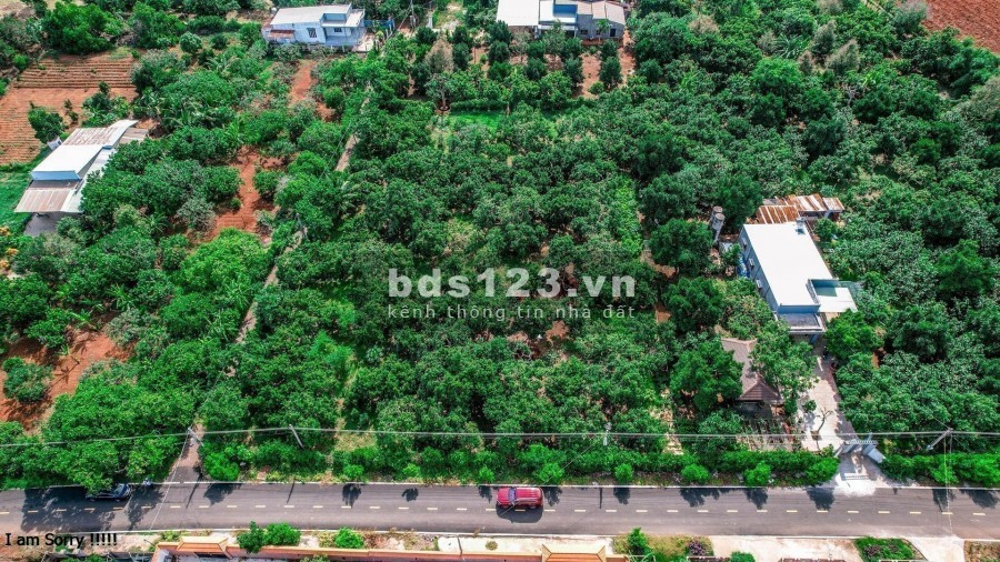 Đất vườn trái cây Long Tân đất đỏ, diện tích sử dụng 50m2 pháp lí đấy đủ, bàn giao ngay