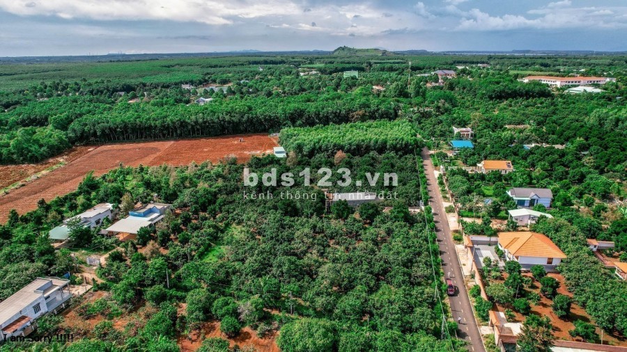 Đất vườn trái cây Long Tân đất đỏ, diện tích sử dụng 50m2 pháp lí đấy đủ, bàn giao ngay