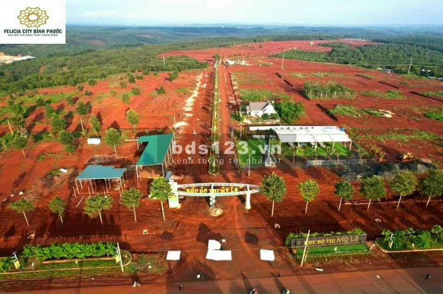 Nơi an cư lí tưởng - xu hướng "sống xanh" hậu covid giá bán 4 triệu/m2, sổ sẵn