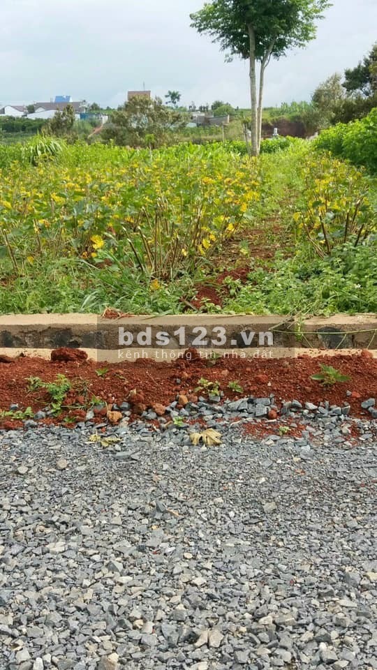 Đất đẹp đón đầu nhà đầu tư diện tích 190m2 giá 1.1 tỷ, địa thế đất triền nhẹ, nhìn ngắm view tứ phía
