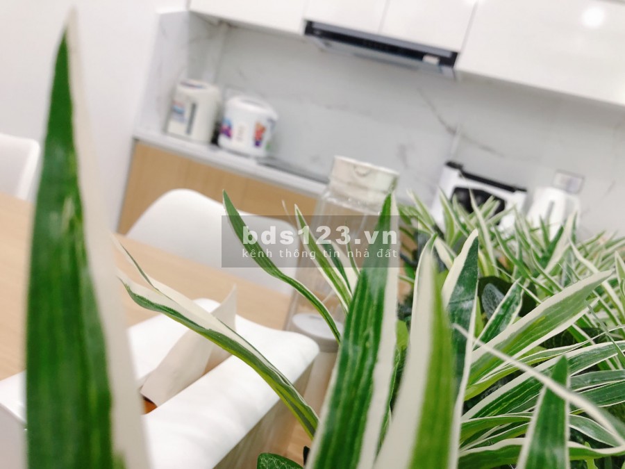 Nhà cũ nhỉnh 100 triệu/m2 Nguyễn Trọng Tuyển Tân Bình, dt 70m2, giá 6.99 tỷ, thương lượng
