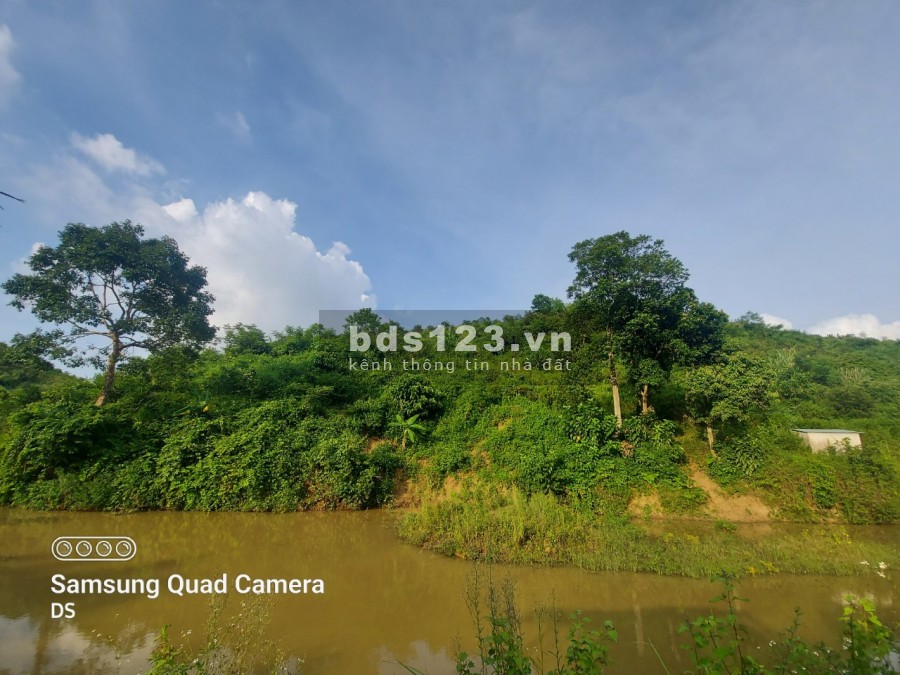 Cần bán 6000m đát rừng sản xuất tại Cao Phong - Hòa Bình, liên hệ 0833066663