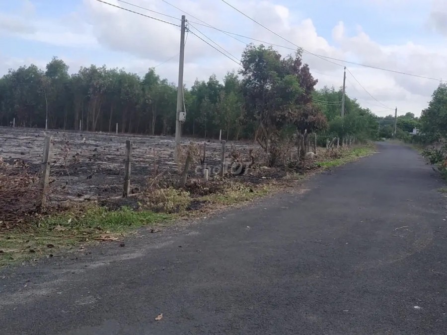 Cần Bán Đất Nghỉ Dưỡng Đường Ven Biển, Xã Bình Châu, huyện Xuyên Mộc, Bà Rịa Vũng Tàu