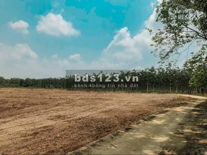 Chính chủ cần bán lô đất ngay đối diện khu công nghiệp Bắc Đồng Phú, sổ riêng công chứng ngay