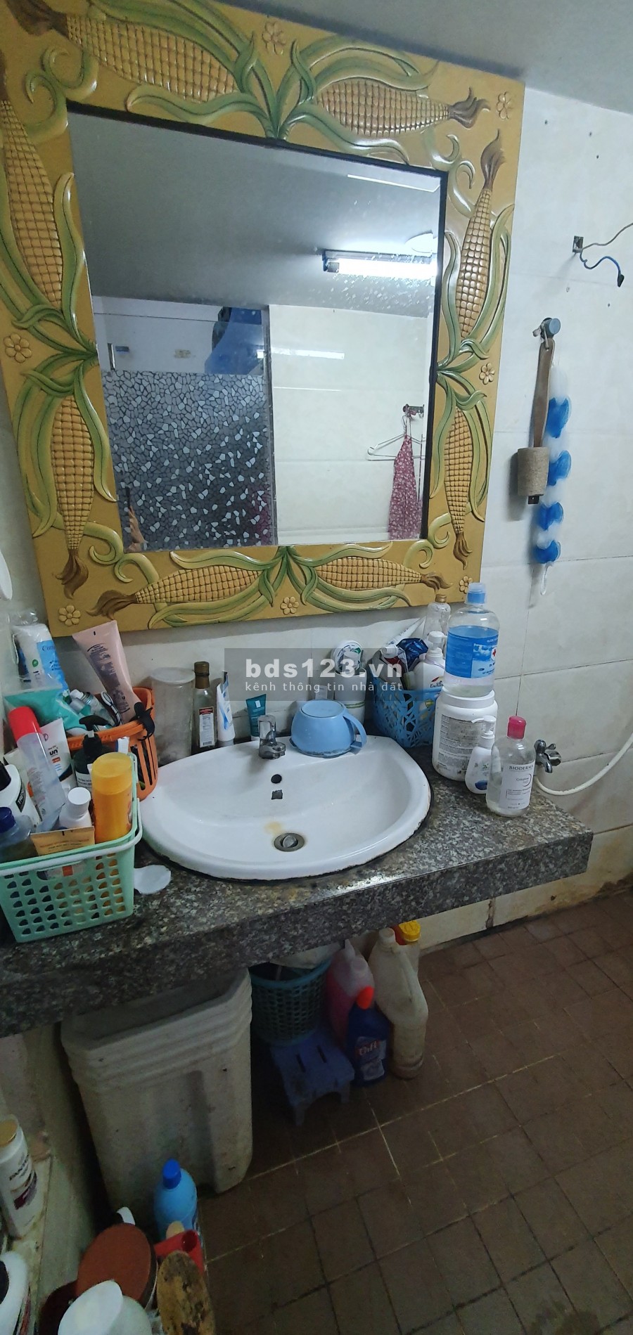 Tìm bán nữ siêu cute phô mai que ở ghép, có thể bắt đầu vào ở vào đầu tháng 10