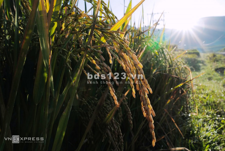 Chính chủ cần bán đất nền nghỉ dưỡng y tý- sapa 2 xu hướng đầu tư an toàn mùa covid