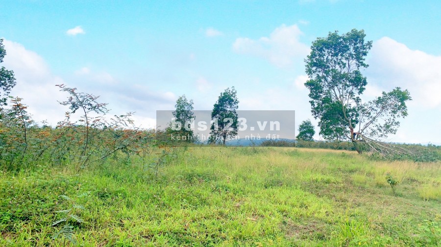 Bán 300m2 diện tích đất nghỉ dưỡng view Đồi Nam Ban, Lâm Hà, giá bán 630 triệu