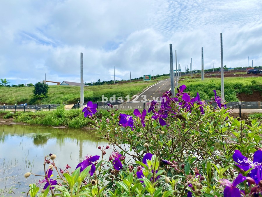 Bán gấp đất nghĩ dưỡng siêu đẹp, sổ hồng riêng, công chứng liền giá chỉ 780 triệu, lh 0326502787