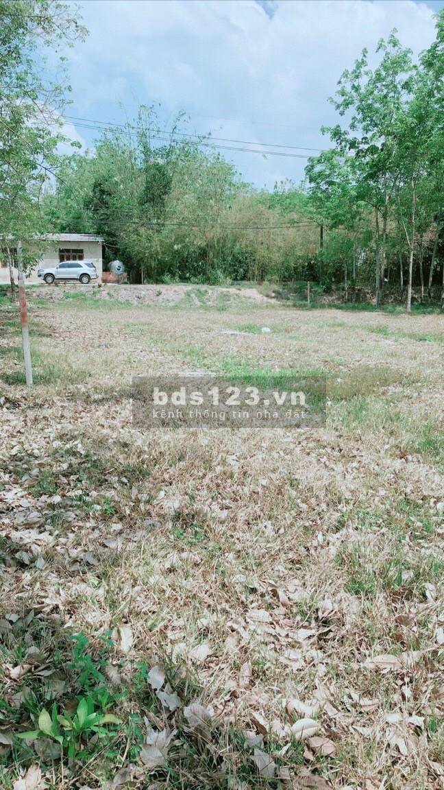 Cần bán gấp đất mặt tiền Phú Hiệp xã Phú Mỹ Hưng 1/ Tỉnh Lộ 15 diện tích 2800m2 600 thổ cư