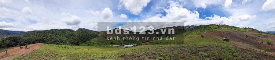 Bán 10 ha đất trang trại có sẵn nhà khu vực Mộc Châu, giá rẻ thoả thuận chính chủ
