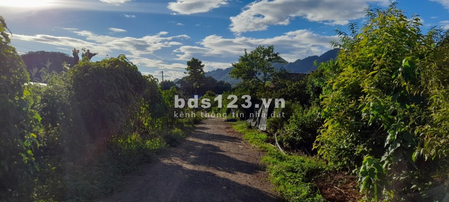 Đất nền Mộc Châu du lịch 4 mùa, phù hợp Xây Homestay, giá…