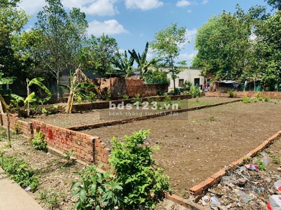 Sang gấp diện tích 105m2 đất thổ cư sát ủy ban xã bàu cạn, dân đông sổ hồng riêng