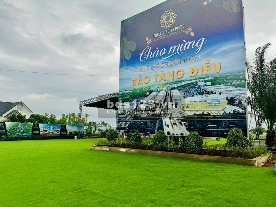 Đất nền BP cực kỳ đáng quan tâm trong mùa dịch chỉ từ 4 triệu/m2, NH hỗ trợ 50%