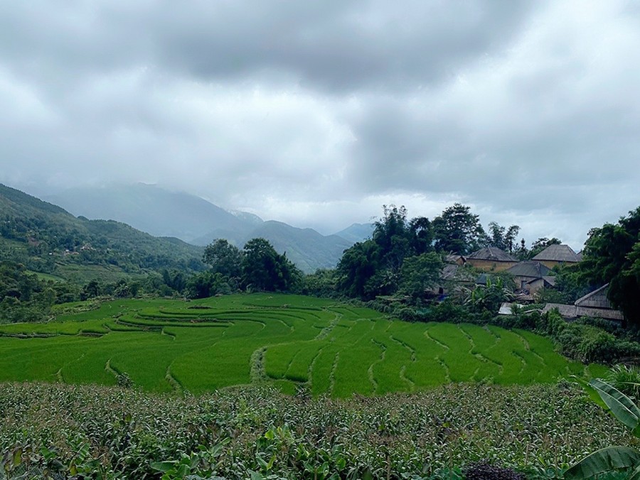 Mảnh đất duy nhất tại Y Tý (Sapa 2) đã có sổ và thổ cư, view lại mê ly cho khách xây nhà nghỉ, khách sạn