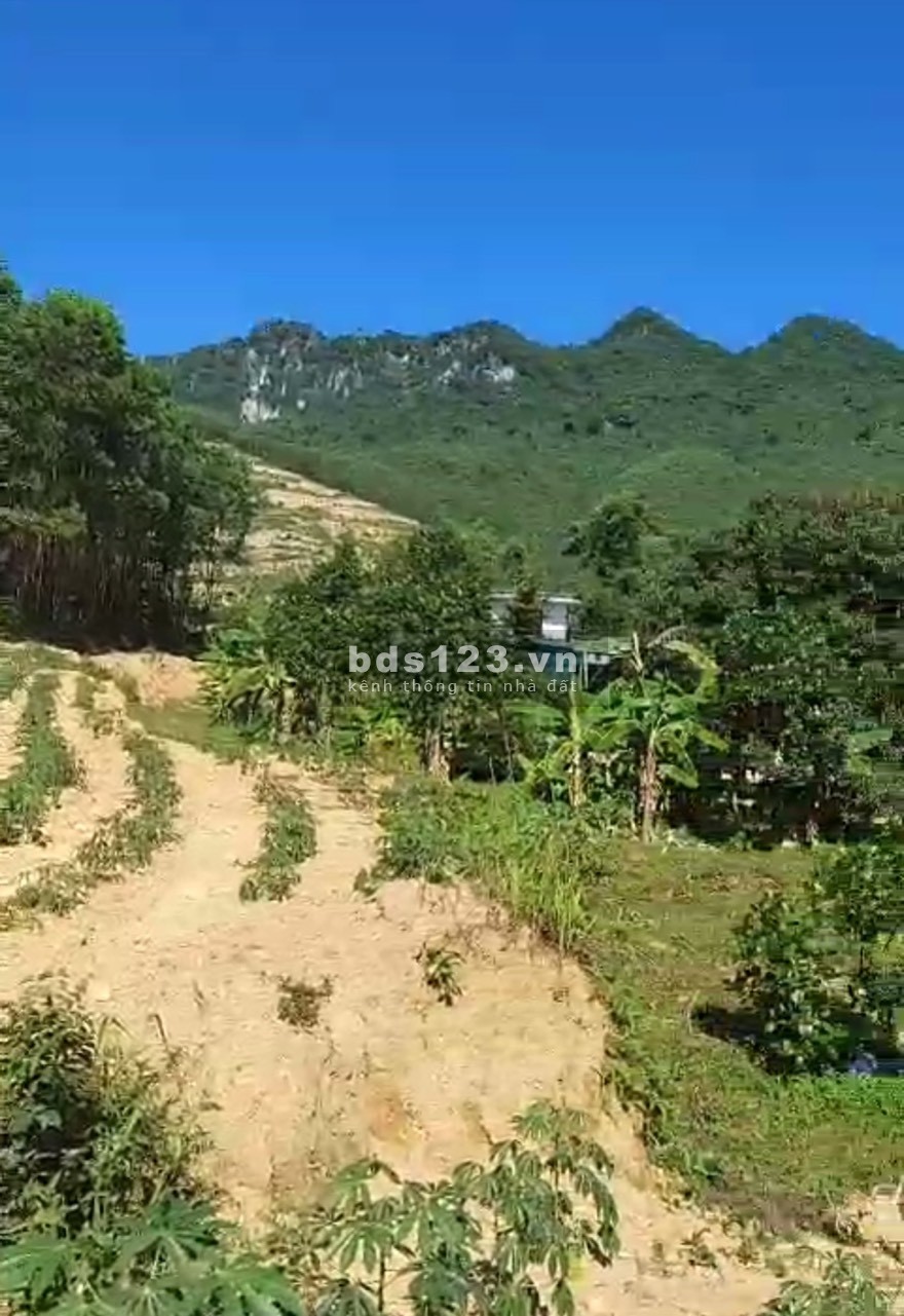 Bán nhanh 3 lô đât rẻ nà đẹp tại Phú Thành Lạc Thuỷ Hoà Bình, toàn bộ đất phẳng view thoáng