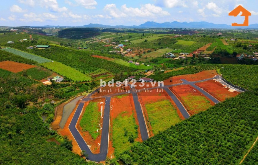 Phố Hoa Hillside - Khi vùng đất yên bình hóa thành khu nghỉ dưỡng chất lượng 5 sao