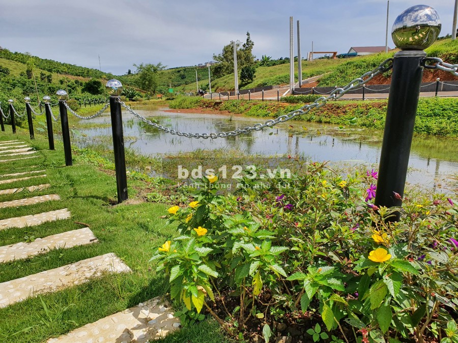 Phố Hoa Hillside - Khi vùng đất yên bình hóa thành khu nghỉ dưỡng chất lượng 5 sao