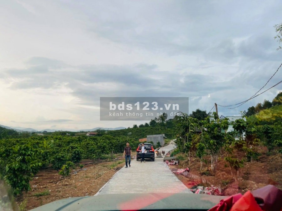 Đầu Tư 200 Triệu Có Ngay Nền Đất Shr, Ngay Nam Ban, Lâm Đồng 250m2