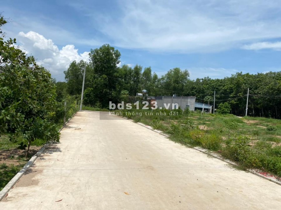 Đất thổ cư đường nhựa Khu phố suối Nhum thị xã Phú Mỹ Bà Rịa Vũng Tàu, khu dân cư đông