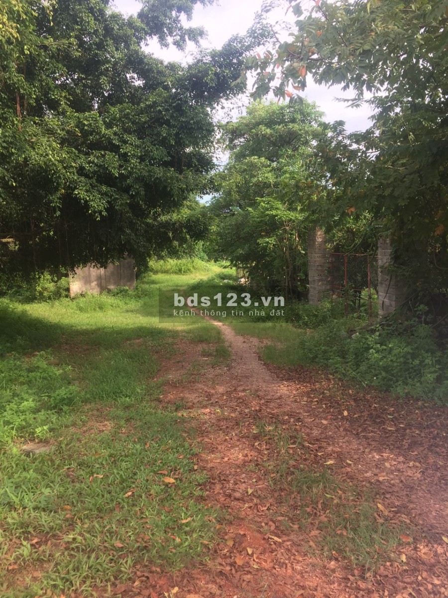 Bán nhanh 3 lô đât rẻ nà đẹp tại Phú Thành Lạc Thuỷ Hoà Bình, toàn bộ đất phẳng view thoáng