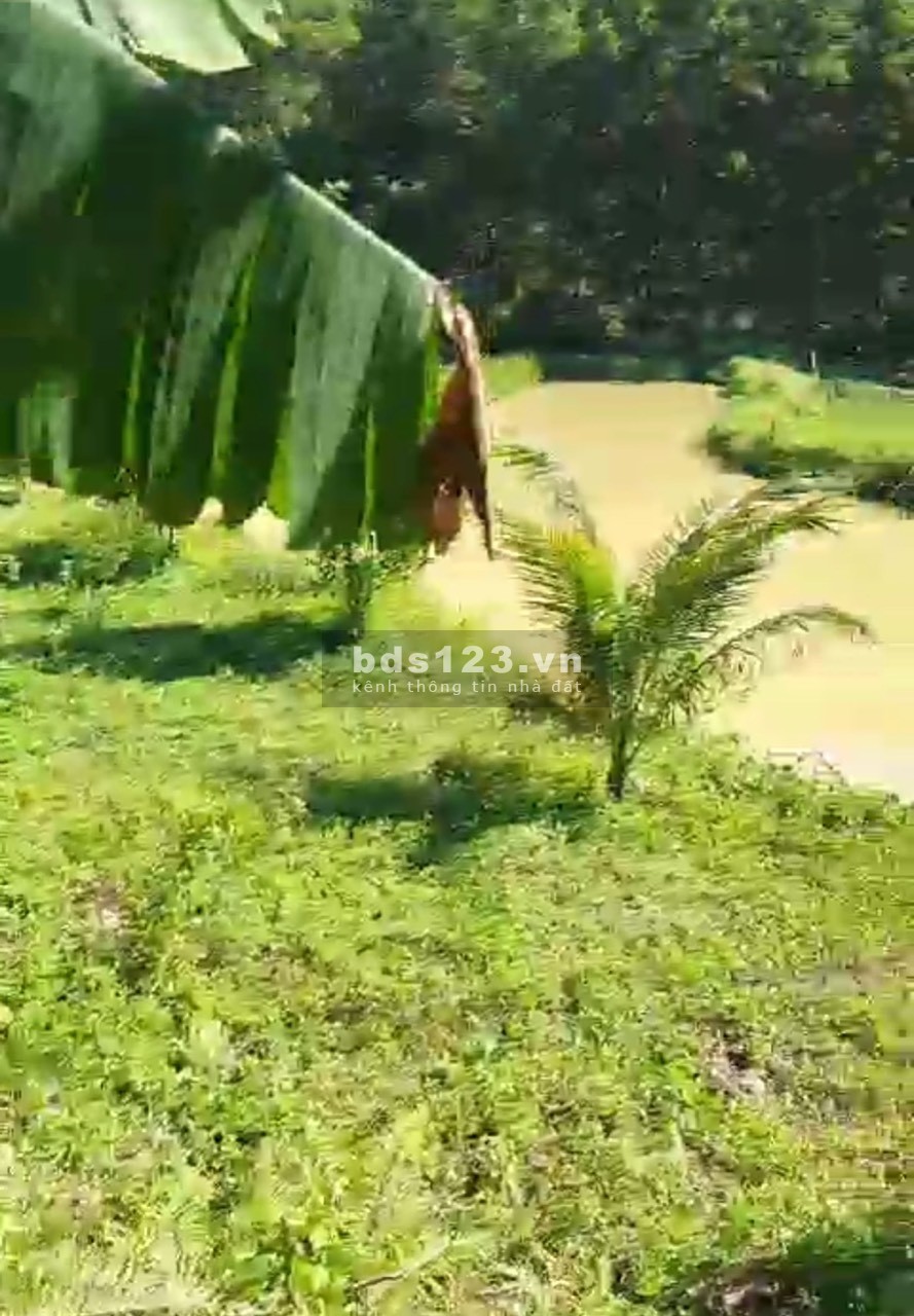 Bán nhanh 3 lô đât rẻ nà đẹp tại Phú Thành Lạc Thuỷ Hoà Bình, toàn bộ đất phẳng view thoáng