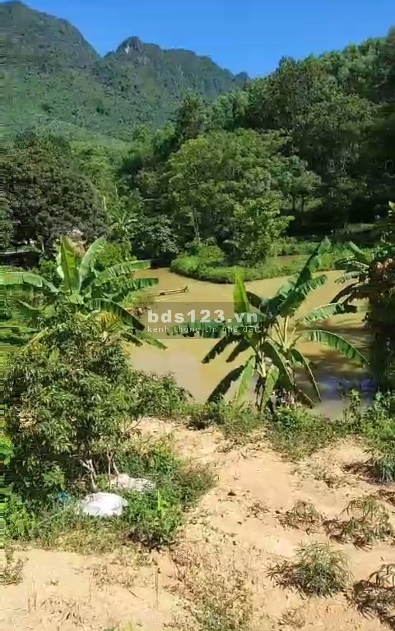 Bán nhanh 3 lô đât rẻ nà đẹp tại Phú Thành Lạc Thuỷ Hoà Bình, toàn bộ đất phẳng view thoáng