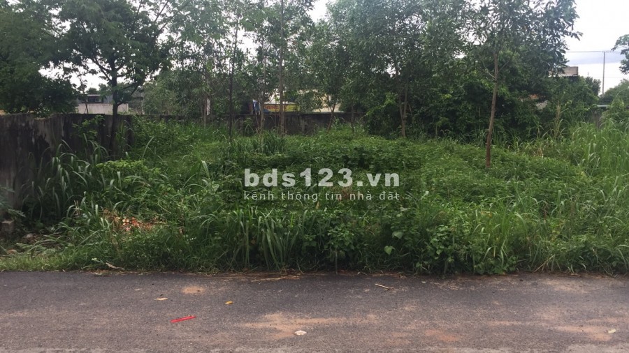 Đất nền xã Hoà Long ngay Quốc Lộ 56, đường rộng 10 làng xe chạy chỉ 11 triệu/m2, sổ sẵn