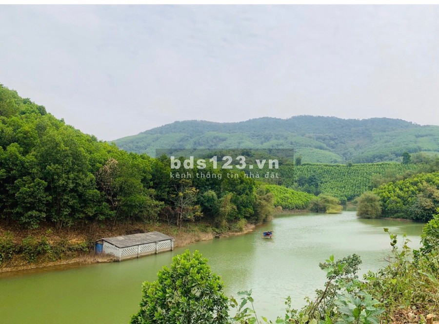 Cần bán 23721m có 1270 thổ cư bám hồ hơn 100m tại Kim Bôi giá 6 tỷ