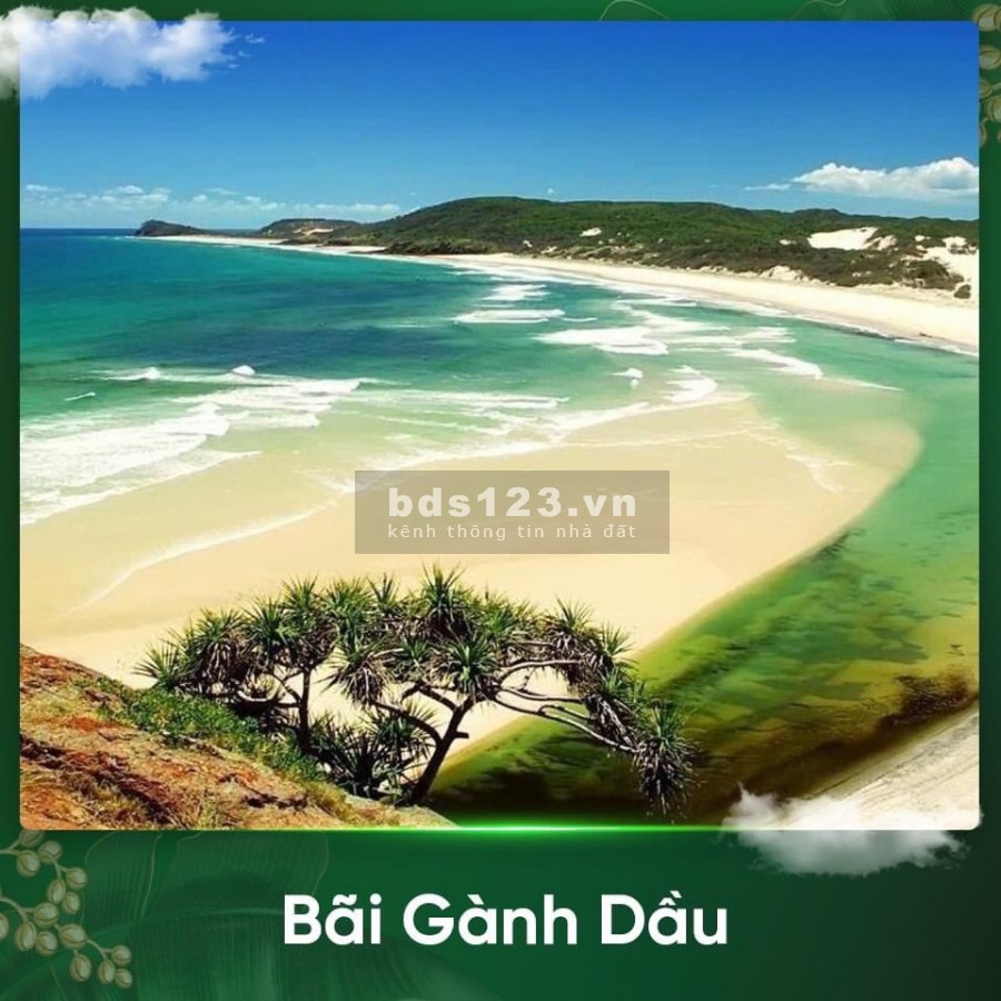 Bán 10 căn duy nhất shophouse Meyhoms suất ngoại giao nhiều ưu đãi, chiết khấu cao quà hấp dẫn