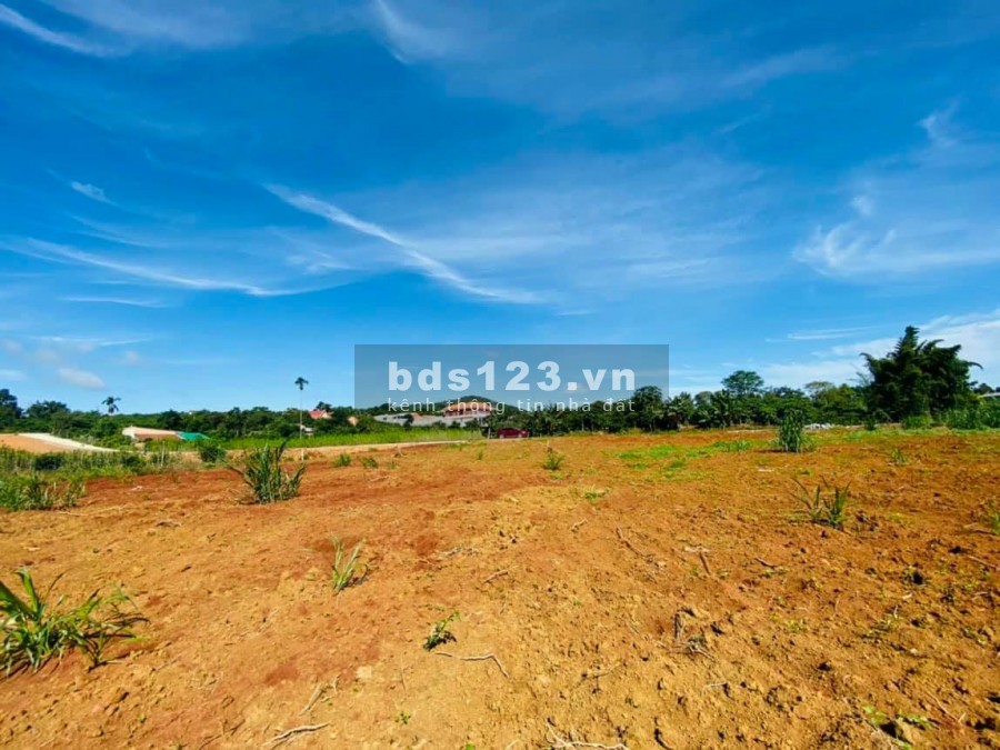 Đầu Tư Đất Nghỉ Dưỡng Thổ Cư Mê Linh diện tích sử dụng 215m2, giá bán 649 triệu, sổ sẵn