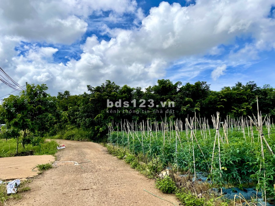 Bán đất nền dự án khu dân cư hiện hữu đầu tư sinh lời, full thổ cư, đầu tư sinh lời