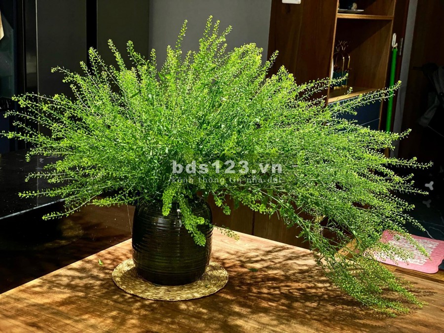 Bán đất tặng nhà dt 35m2, Giáp Nhị sổ đỏ riêng, ở ngay, giá rẻ 1.9 tỷ, liên hệ 0989745569