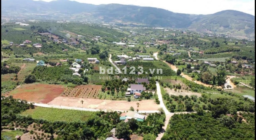 Đầu Tư Đất Nghỉ Dưỡng Thổ Cư Mê Linh diện tích sử dụng 215m2, giá bán 649 triệu, sổ sẵn