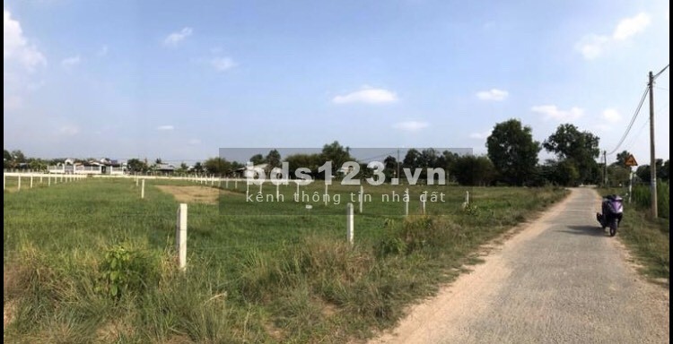Cần bán đất mặt tiền đường nhựa Nguyễn Thị Ngoạn 1/ Tỉnh Lộ 7 500m2 100thổ cư