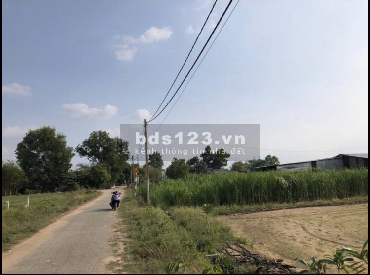 Cần bán đất mặt tiền đường nhựa Nguyễn Thị Ngoạn 1/ Tỉnh Lộ 7 500m2 100thổ cư