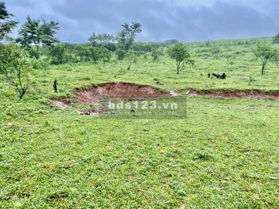 Bán 3774m đất thổ cư. Trong đó có 1441m thổ cư còn lại đất vườn
