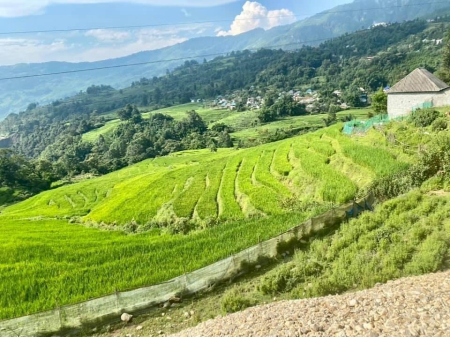 Bán 500m2 đất nền Sapa 2 (Y Tý)khai thác du lịch sinh thái săn mây, giá bán tiện đầu tư