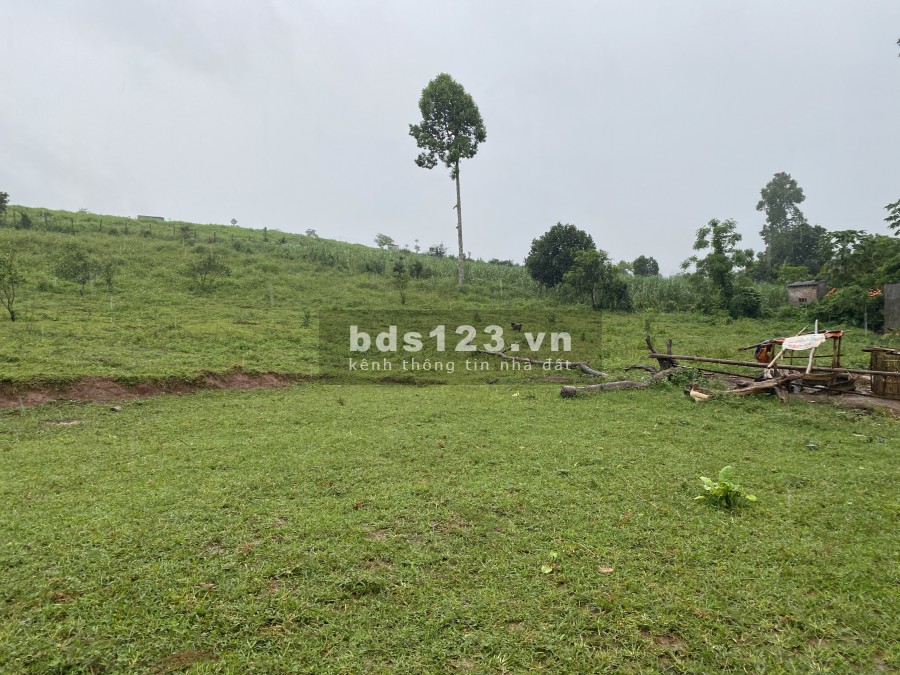 Bán 3774m đất thổ cư. Trong đó có 1441m thổ cư còn lại đất vườn