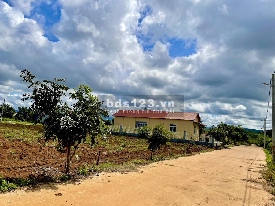 Bán đất nền dự án khu dân cư hiện hữu đầu tư sinh lời, full thổ cư, đầu tư sinh lời