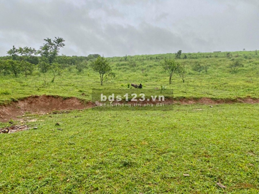 Bán 3774m đất thổ cư. Trong đó có 1441m thổ cư còn lại đất vườn